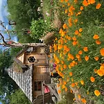 Le Des Cambuses * Saint-Die-des-Vosges