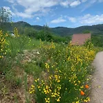 Le Des Cambuses Horská chata Saint-Die-des-Vosges