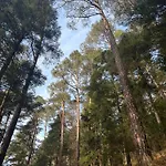 Horská chata Le Des Cambuses