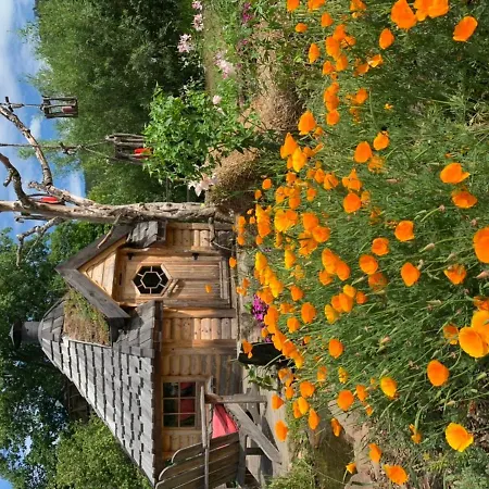 Le Des Cambuses * Saint-Die-des-Vosges