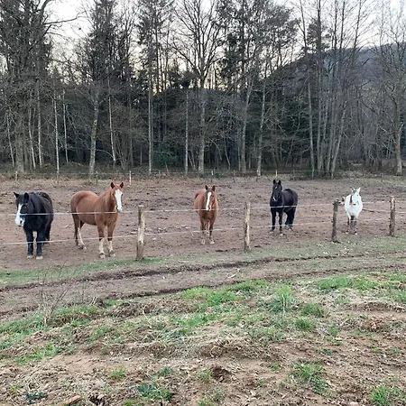Le Des Cambuses Horská chata *