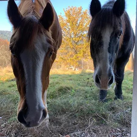 Horská chata Le Des Cambuses