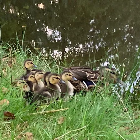 Horská chata Le Des Cambuses