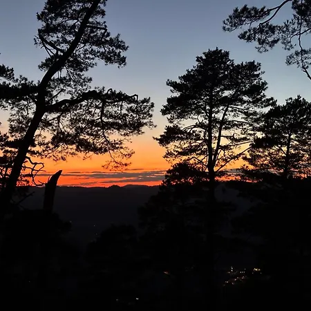 Le Des Cambuses Saint-Die-des-Vosges