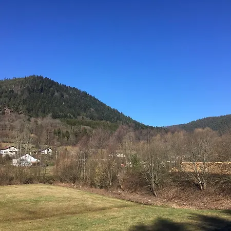 Le Des Cambuses * Saint-Die-des-Vosges