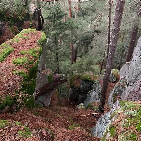 Le Des Cambuses * 생디에데보주