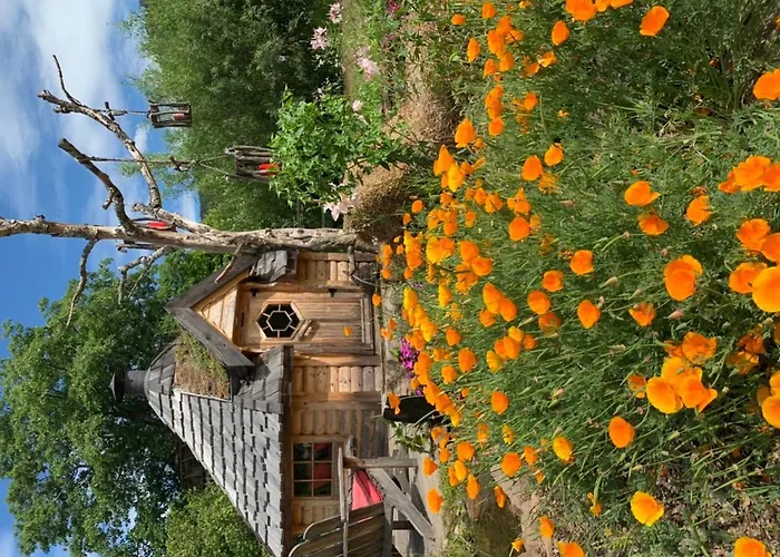 Le Des Cambuses * Saint-Die-des-Vosges